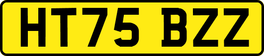 HT75BZZ