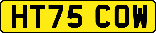 HT75COW