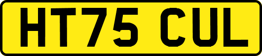 HT75CUL