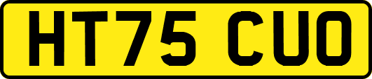 HT75CUO