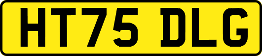 HT75DLG