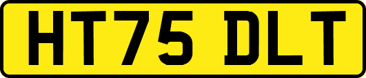 HT75DLT