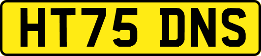 HT75DNS