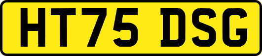 HT75DSG