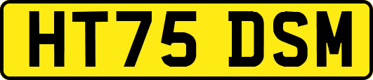 HT75DSM