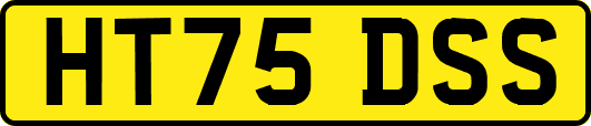 HT75DSS