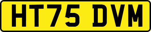 HT75DVM