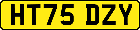 HT75DZY