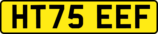 HT75EEF