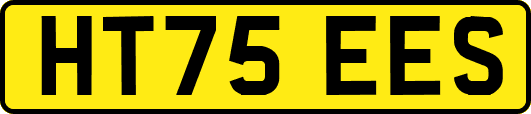 HT75EES