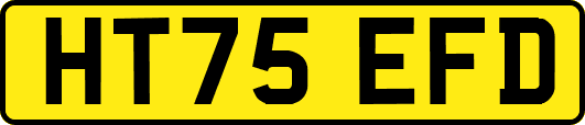 HT75EFD