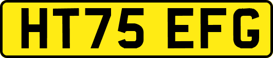 HT75EFG