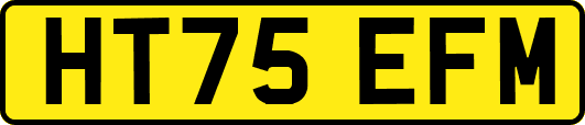 HT75EFM