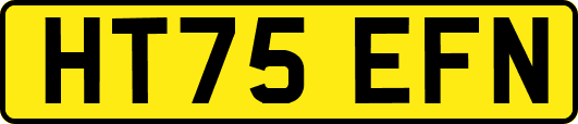 HT75EFN