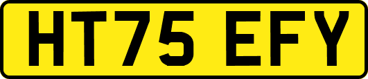 HT75EFY