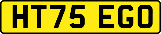 HT75EGO