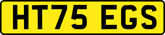 HT75EGS