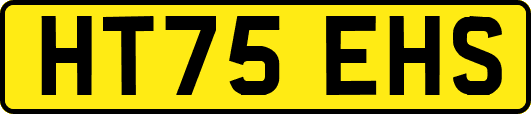 HT75EHS
