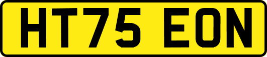 HT75EON