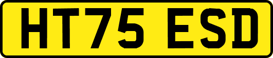 HT75ESD