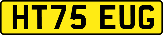 HT75EUG