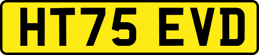 HT75EVD