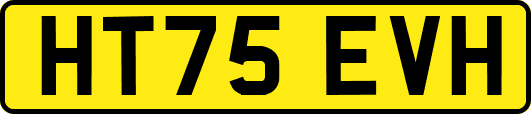 HT75EVH