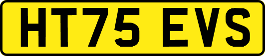 HT75EVS