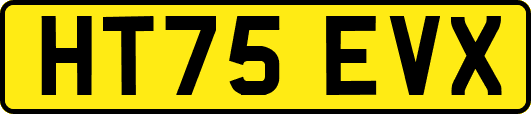HT75EVX