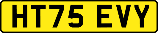 HT75EVY