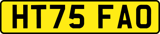 HT75FAO