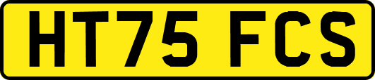 HT75FCS