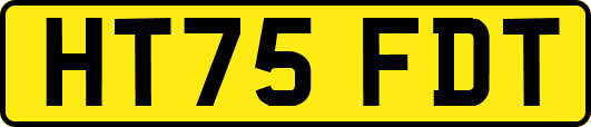 HT75FDT