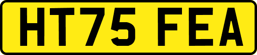 HT75FEA