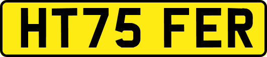 HT75FER