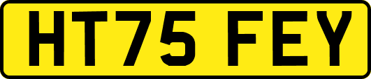 HT75FEY