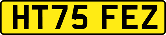 HT75FEZ