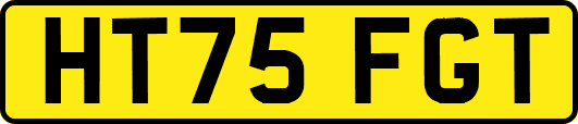 HT75FGT