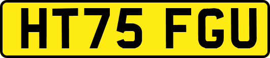 HT75FGU