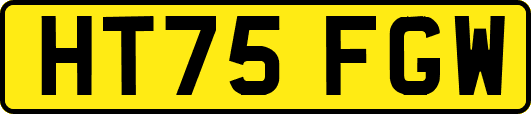 HT75FGW
