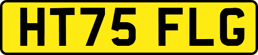 HT75FLG