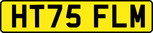 HT75FLM
