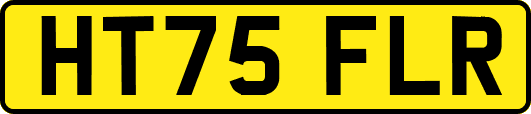 HT75FLR