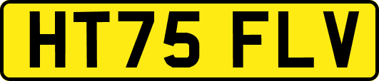 HT75FLV