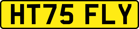 HT75FLY
