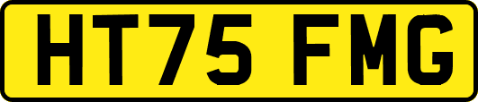 HT75FMG