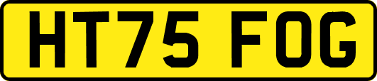 HT75FOG