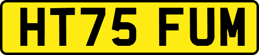 HT75FUM
