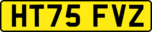 HT75FVZ