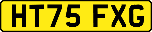 HT75FXG